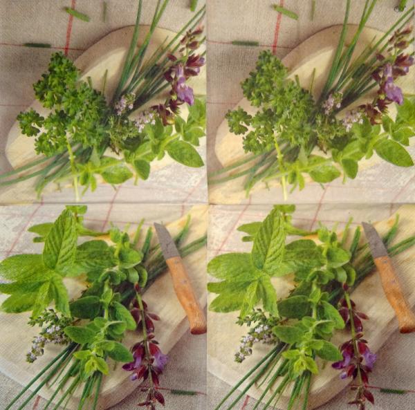 172 Blumen Sonstige - 3-lagig - Ihr